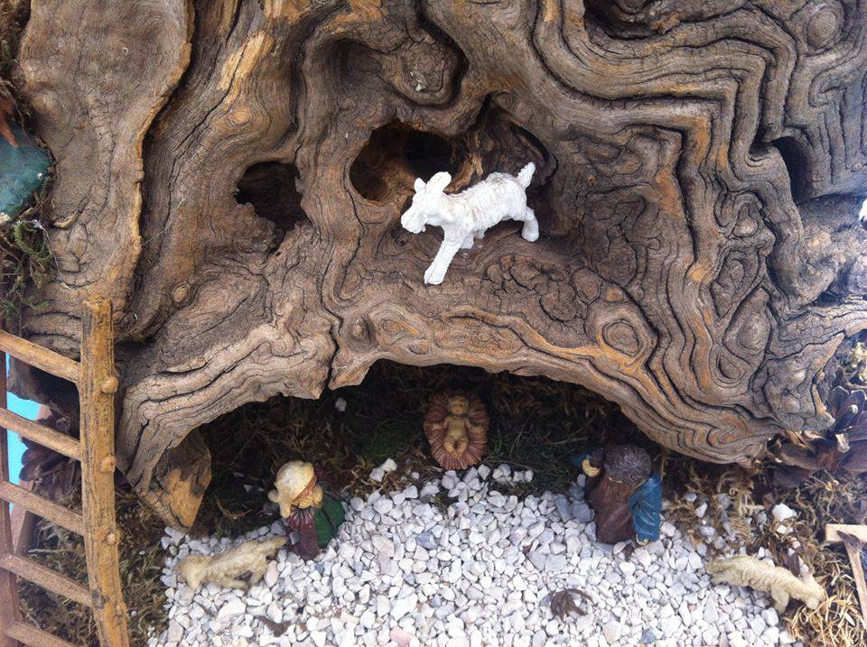 “Aspettando Babbo Natale” ad Azzate