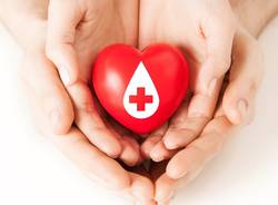 Avis, donazione sangue generiche