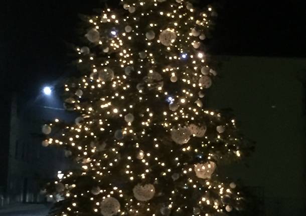Albero Natale