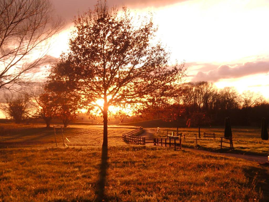 Un caldo tramonto a Vegonno (Azzate)