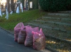 cittattivi laveno mombello