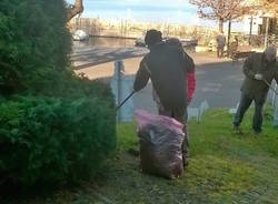 cittattivi laveno mombello