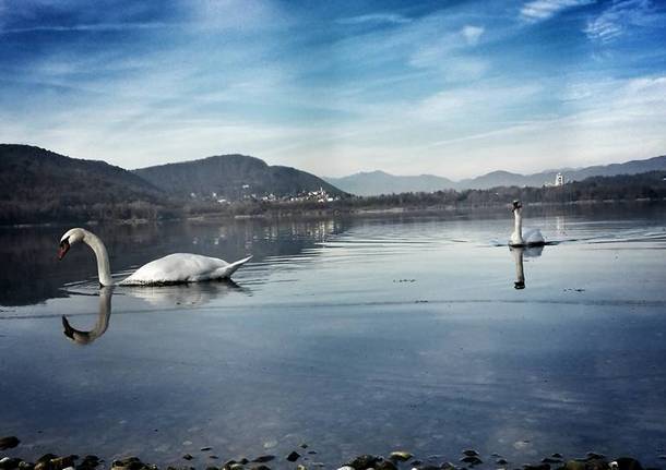 Foto del giorno del mese di dicembre 2015