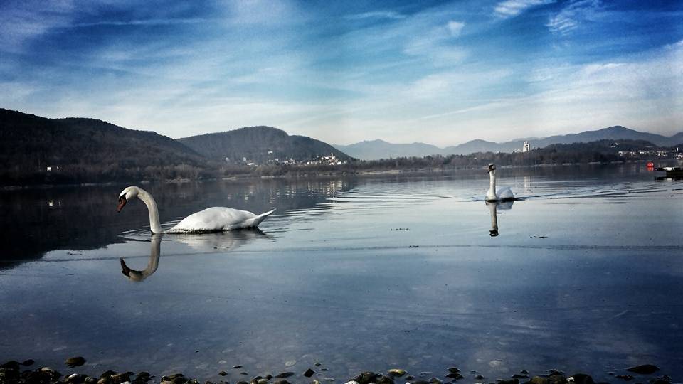 Foto del giorno del mese di dicembre 2015