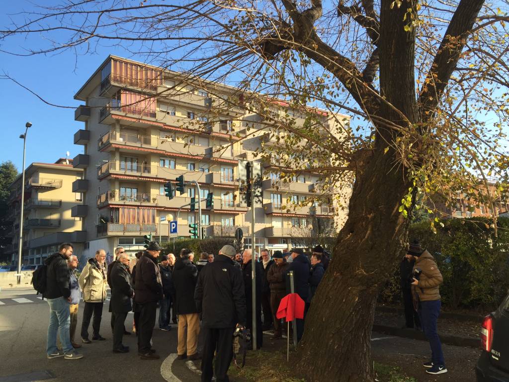 Gelso Valerio Lavazza Gallarate