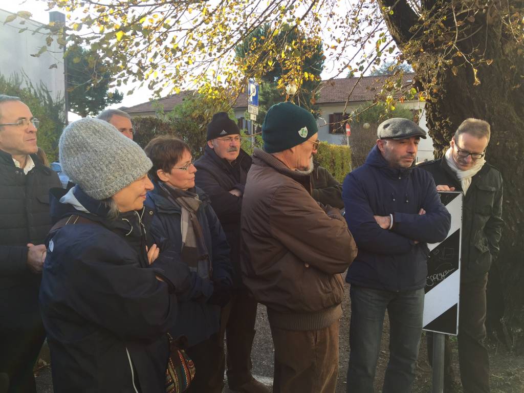 Gelso Valerio Lavazza Gallarate