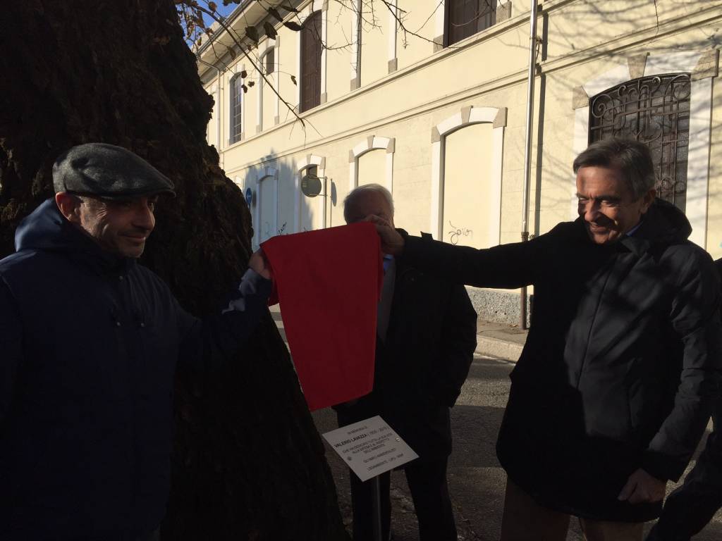 Gelso Valerio Lavazza Gallarate