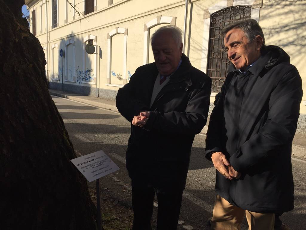 Gelso Valerio Lavazza Gallarate