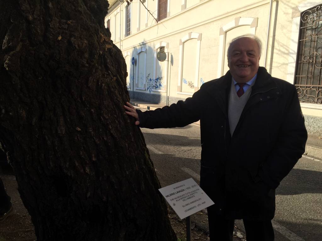 Gelso Valerio Lavazza Gallarate