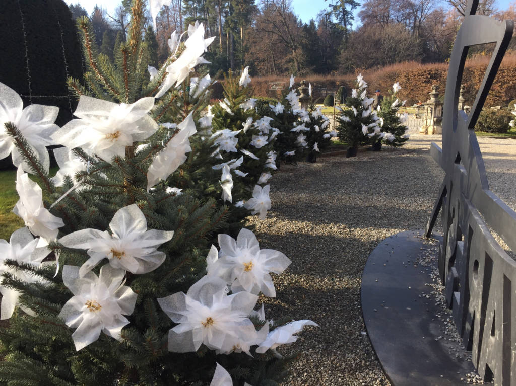 Giardini estensi dicembre 
