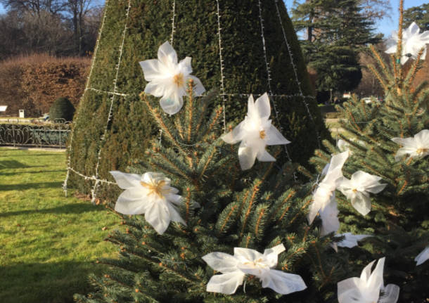 Giardini estensi dicembre 