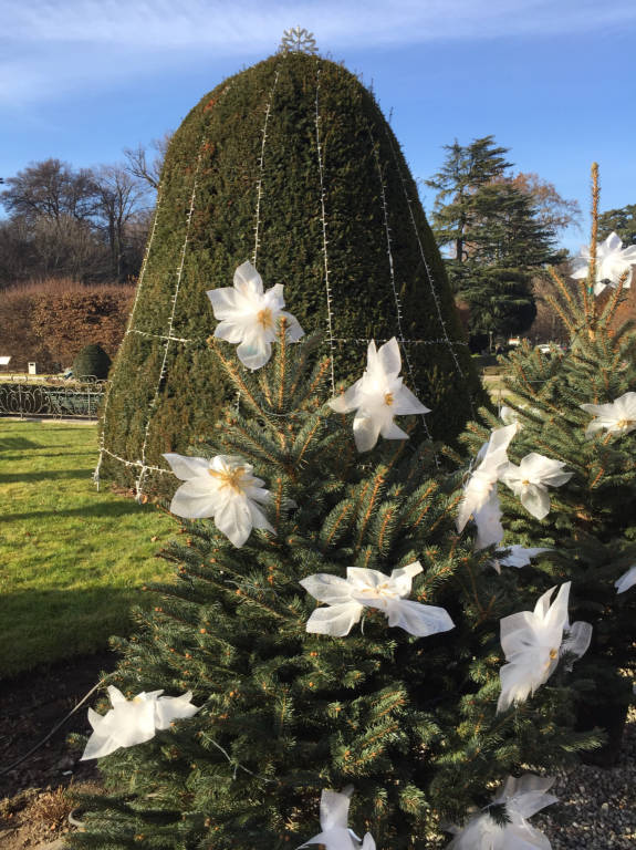 Giardini estensi dicembre 