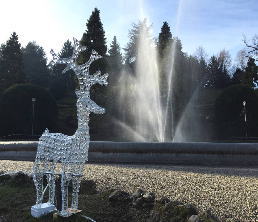 Giardini estensi dicembre 