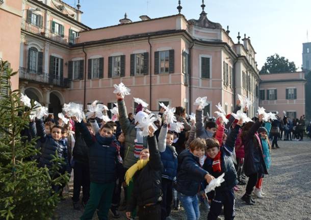 Gli alberelli dei bambini