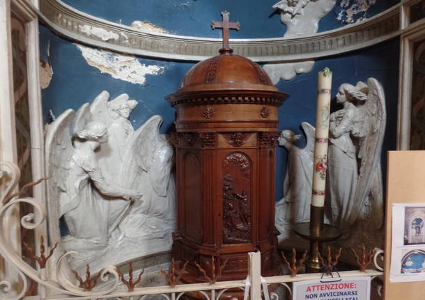 Il capelvenere