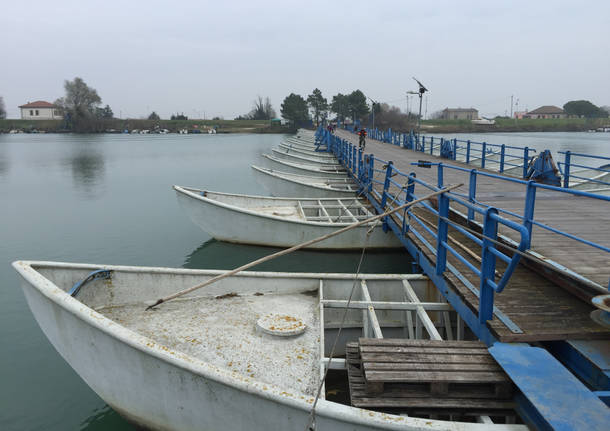 Il Delta del Po