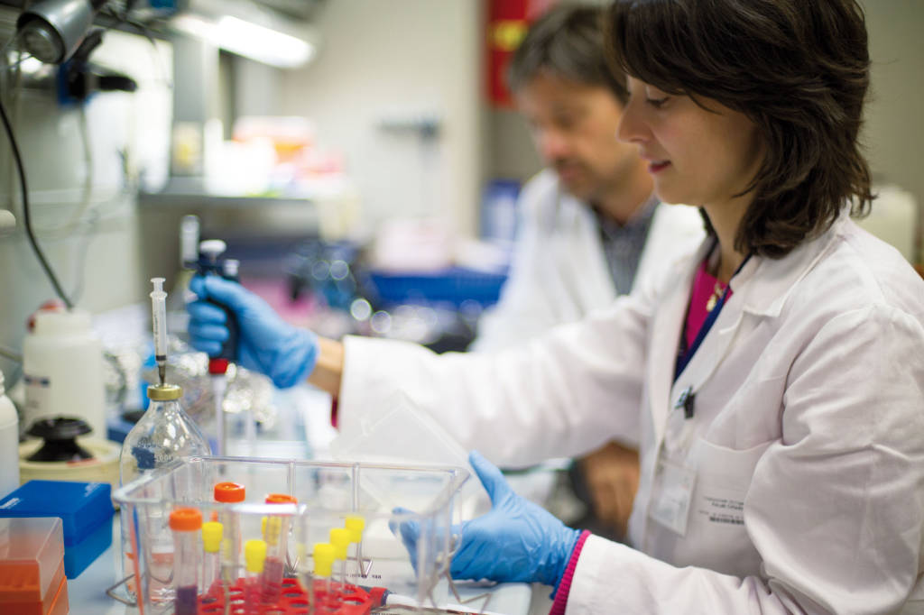 Il nuovo Centro Maria Letizia Verga