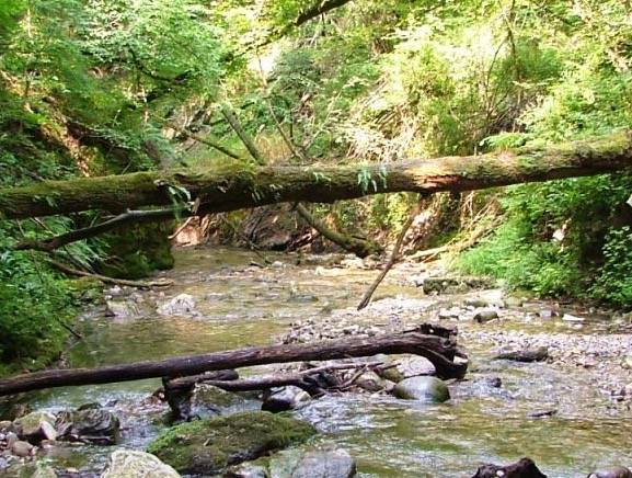 Il Ponte del Diavolo