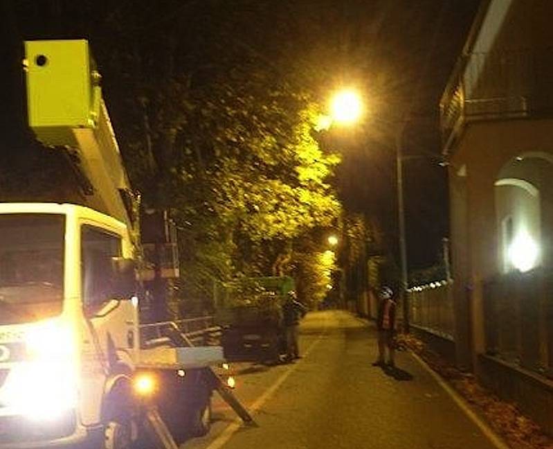 Jerago con Orago: manutenzione straordinaria per i platani di via Milano