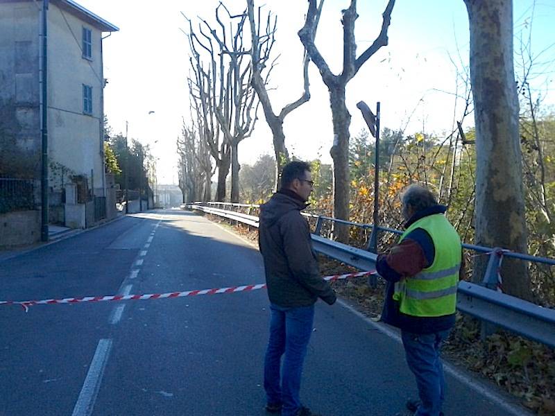 Jerago con Orago: manutenzione straordinaria per i platani di via Milano