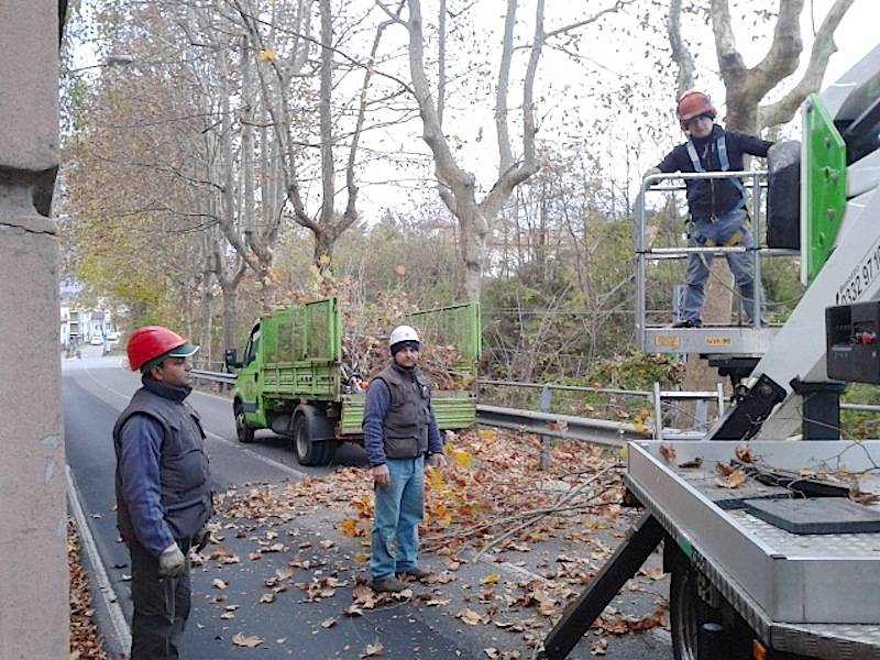 Jerago con Orago: manutenzione straordinaria per i platani di via Milano