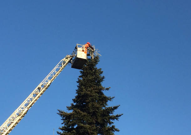 L'albero di Natale a Varese