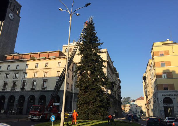 L'albero di Natale di piazza Monte Grappa