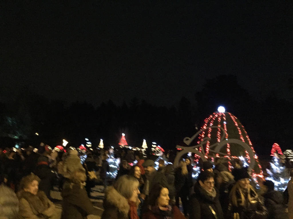 Luci di Natale accese ai giardini Estensi