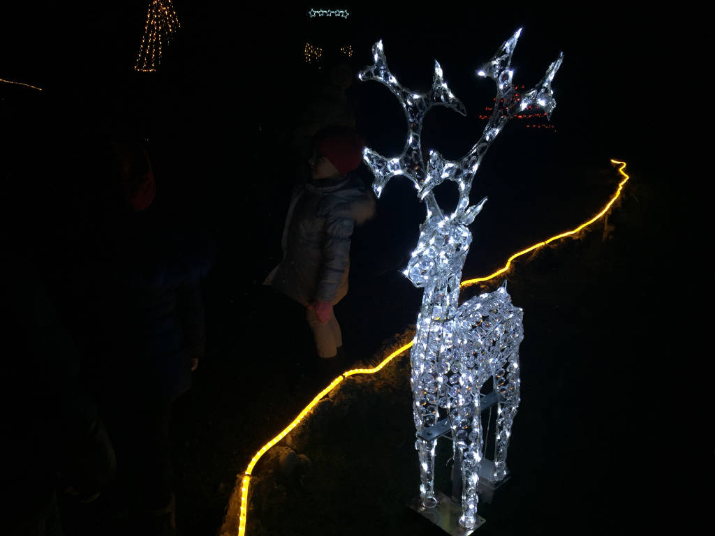 Luci di Natale accese ai giardini Estensi