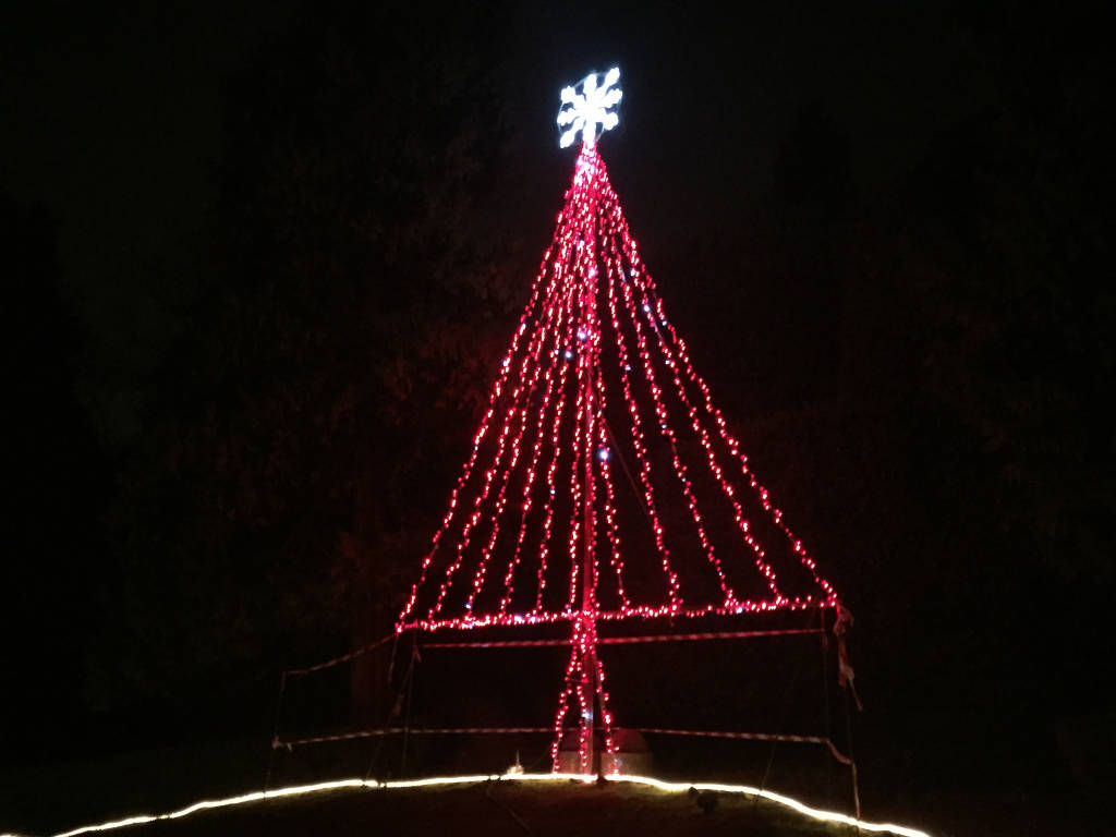 Luci di Natale accese ai giardini Estensi