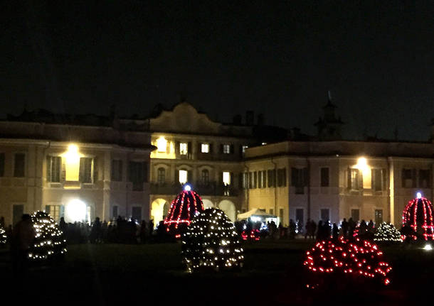 Luci di Natale ai Giardini Estensi