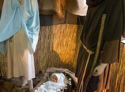 Presepe verdi