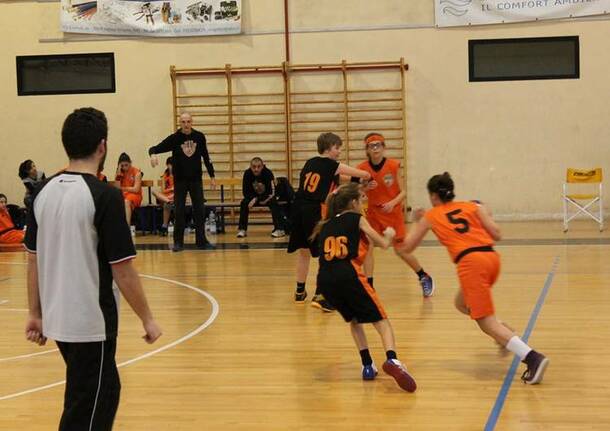 Basket Canegrate, settore giovanile gennaio 2016