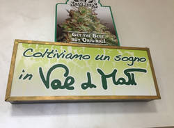 Anche a Varese Semi Matti