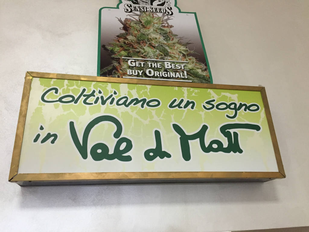 Anche a Varese Semi Matti