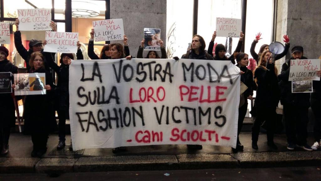 blitz animalista milano 31 gennaio 2016