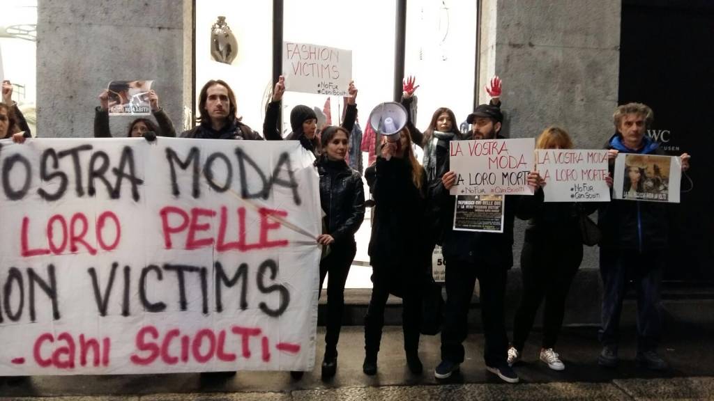 blitz animalista milano 31 gennaio 2016
