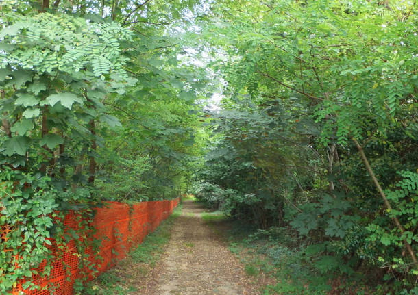 bosco Candie collina