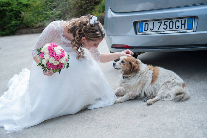 Matrimonio in musica