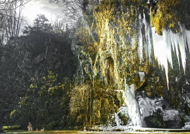 Le grotte con leprotti