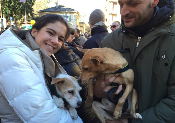 Cuccioli varesini alla benedizione degli animali