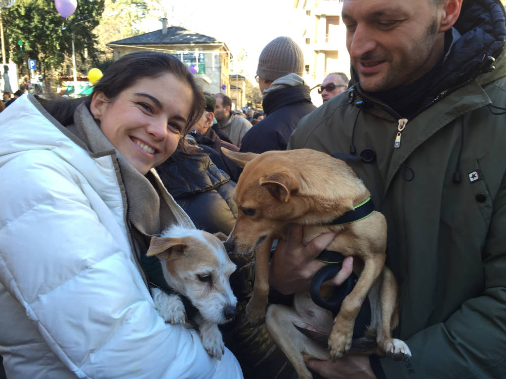 Cuccioli varesini alla benedizione degli Animali