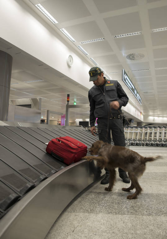 finanza malpensa 22 gennaio 2016