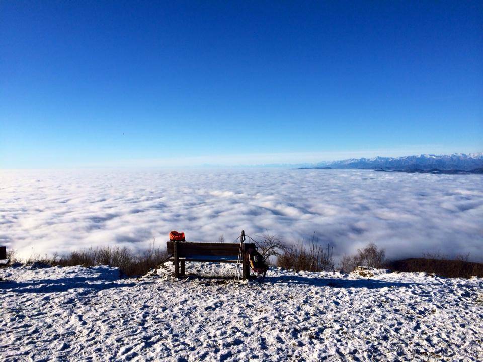 Foto del giorno gennaio 2016