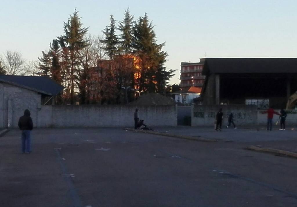 Gallarate cricket area mercato