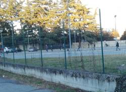 Gallarate cricket area mercato