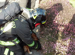 incendio busto arsizio 31 gennaio 2016