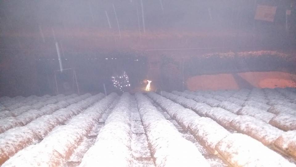 La prima neve del 2016