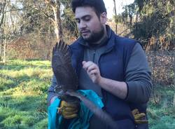 oasi vanzago mauro parolini