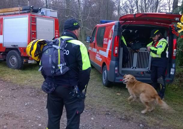 I cani molecolari per le ricerche sul lago